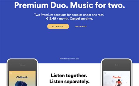 Spotify Duo Cost