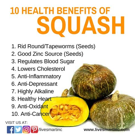 Squashes: Unlock Nutritious Fruit Benefits