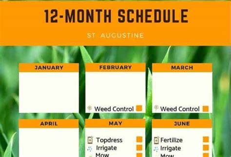 St Augustine Grass Care Florida Fertilizer Lawn Maintenance Schedule