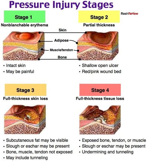 Stages Of Wounds