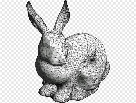 Stanford Bunny Polygon Mesh Computer Science Computer Graphics Rabbit