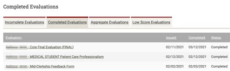 Stanford Evaluations Guide: Optimize Course Choice - Black Atlantic