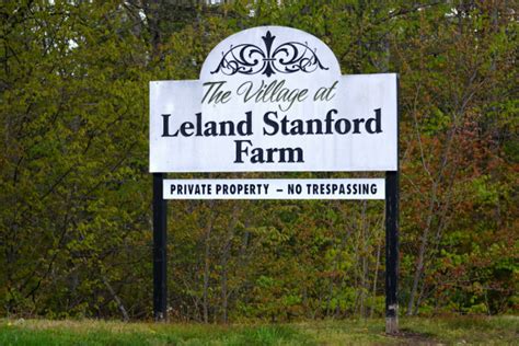 Stanford Farm Origins Explained