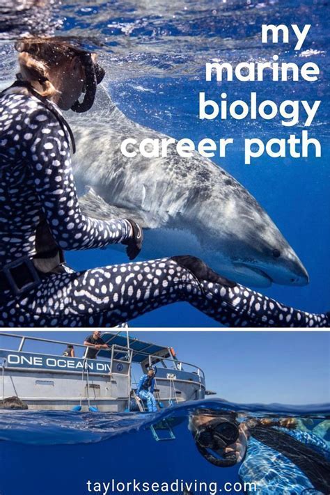 Stanford Marine Biology