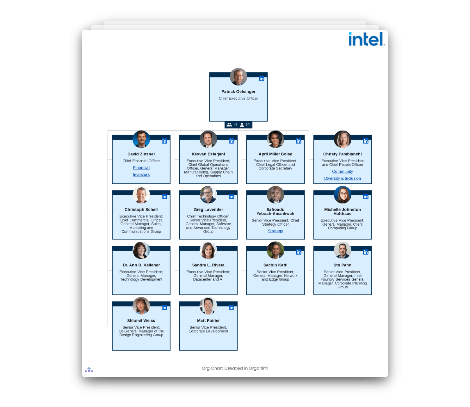 Stanford S Organizational Structure Interactive Chart Organimi