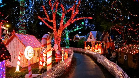 Stanley Park Christmas: Best Lights Display Tips