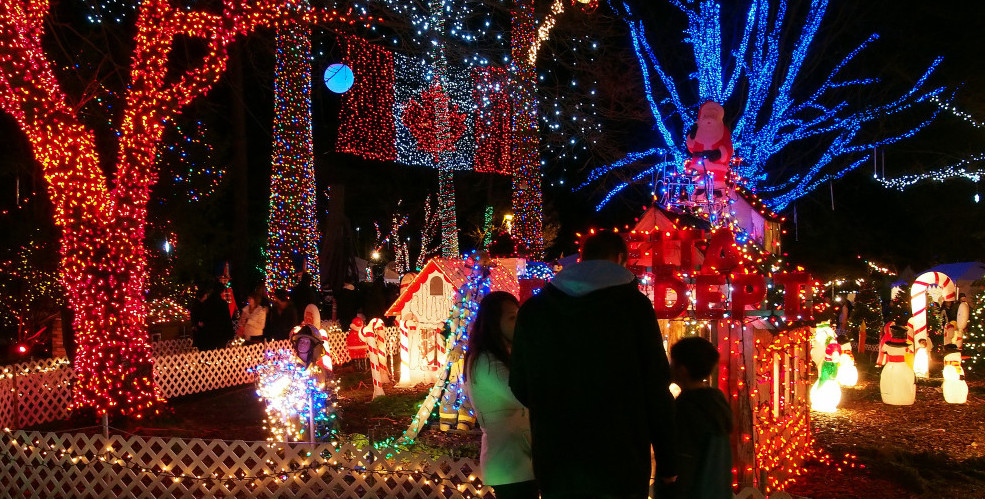 Stanley Park Lights 02