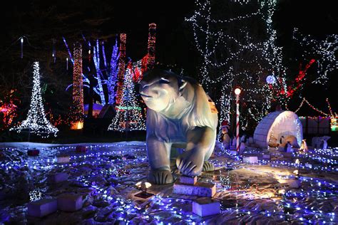 Stanley Park Lights Christmas