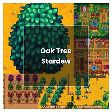 Stardew Oak Tree: Fast Growth Tips