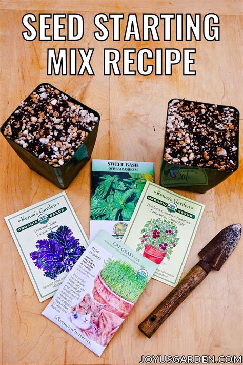 Starting Seeds Indoors Made Easy