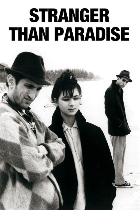 Stranger Than Paradise: Film Insights Uncovered