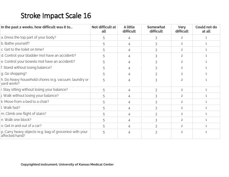 Stroke Impact Scale