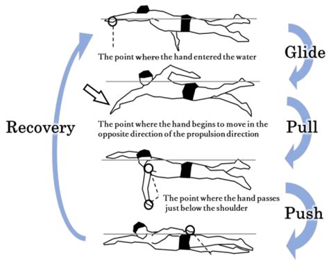 Stroke Swimming Diagram