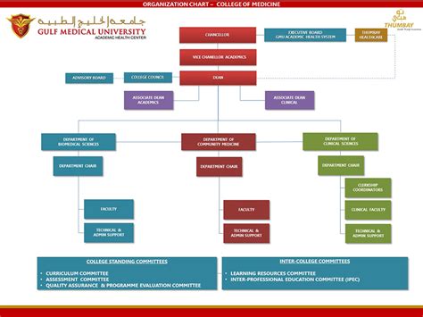 Structure And Schedule School Of Medicine And Health Sciences