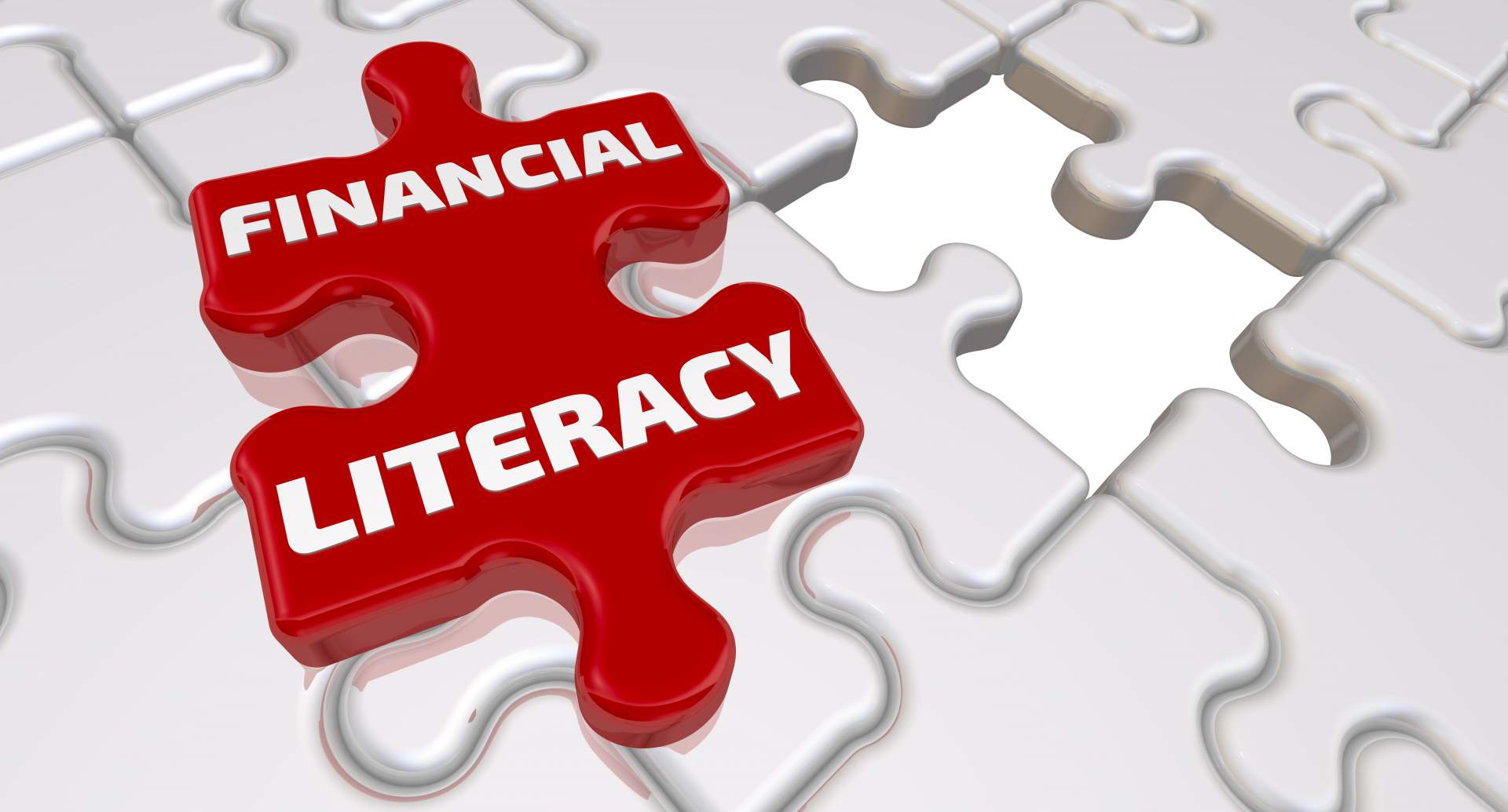 Study Financial Literacy Vs Financial Well Being And Credit