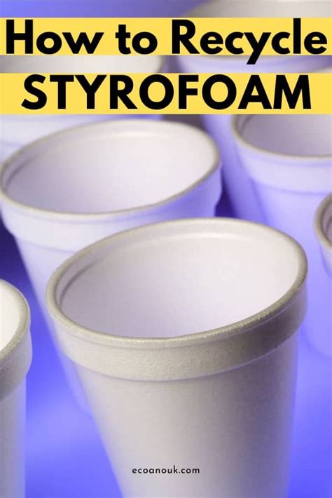 Styrofoam Recycling Guide: What You Need