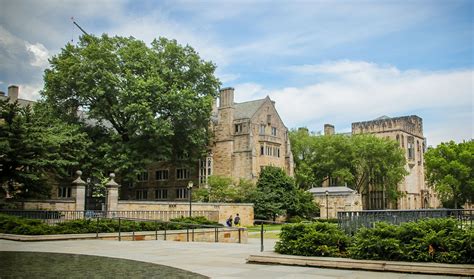 Summer At Yale