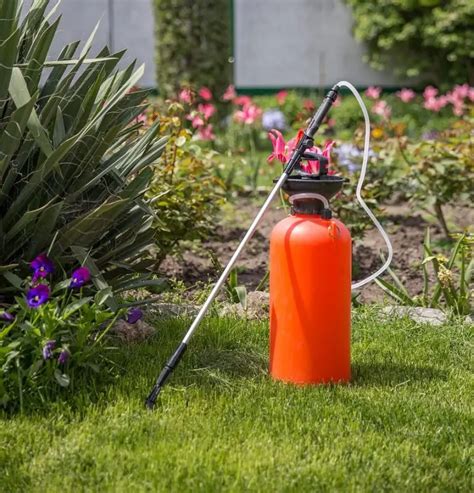 Sun Wind Or Rain When To Spray Weed Killer For Maximum Effectiveness