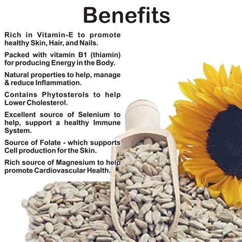 Sunflower Seeds Benefits And Nutrients