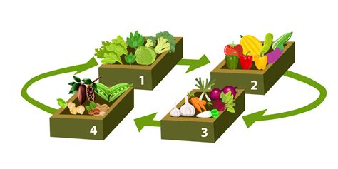 Sustainable Crop Rotation Practices Sustainable Review