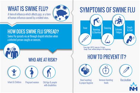 Swine Flu Symptoms Risk Factors Treatments Narayana Health