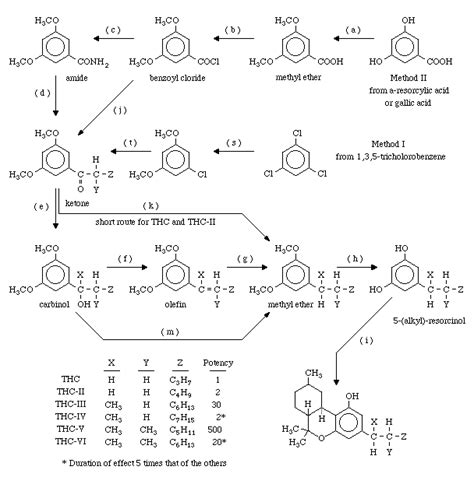 Synthesis Of Thc Chemistry Equation