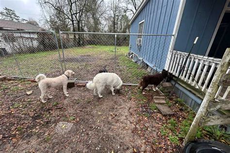 Taylor Creek Dog Park