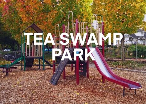 Tea Swamp Park Guide: Explore Trails