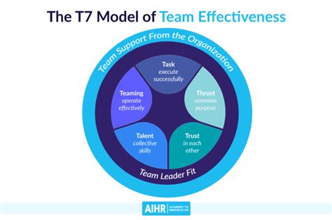 Technical Sports Analysis: Comprehensive Review Of Team Management