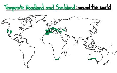 Temperate Woodland And Shrubland Map