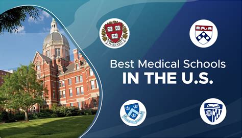 The 10 Best Medical Schools To Attend