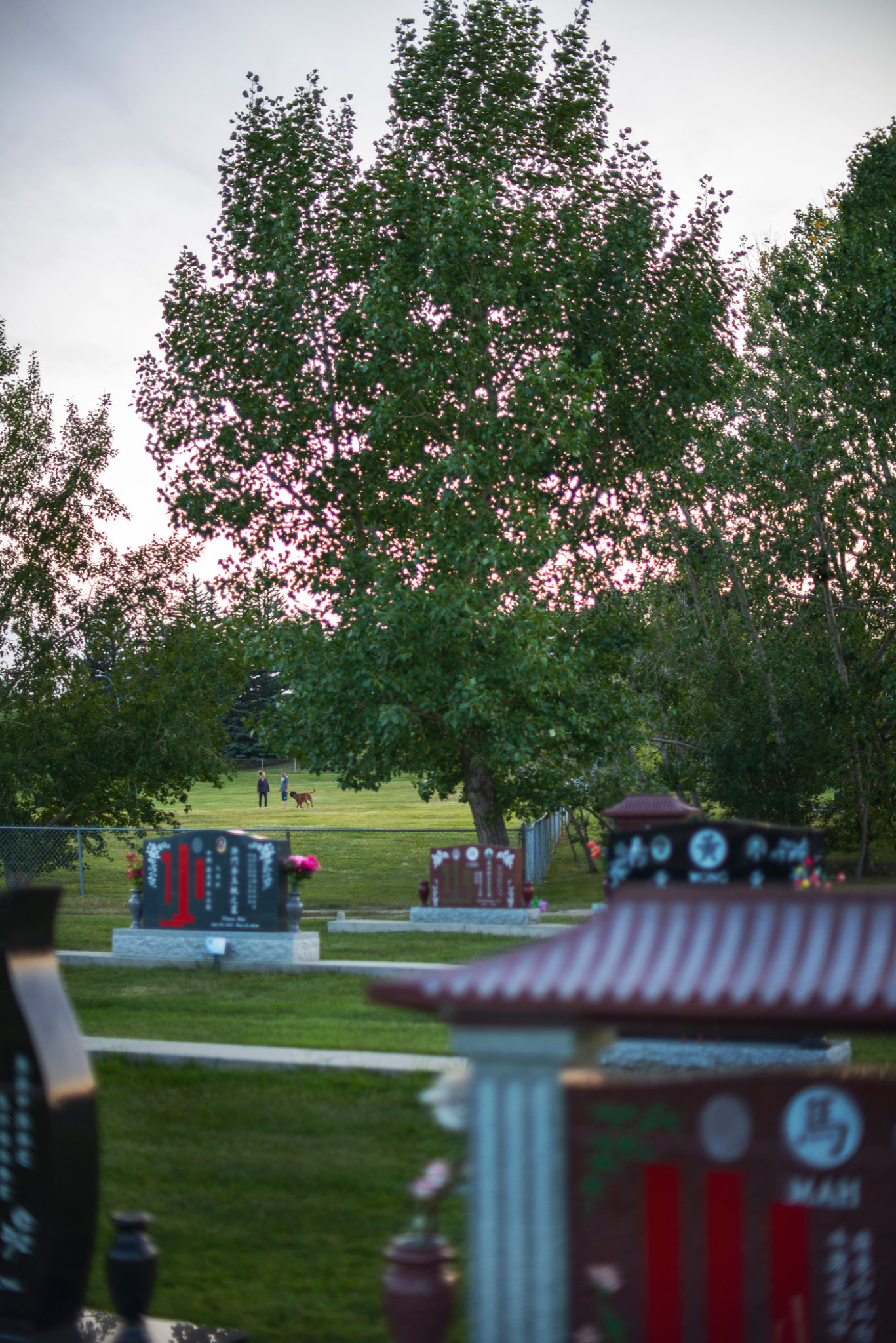 The Afterlife Of Cemeteries Avenue Calgary