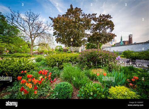 The Allan Gardens In The Garden District Toronto Ontario Stock