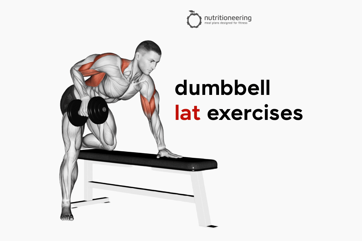 The Best Dumbbell Exercises And Workouts For Your Lower Back