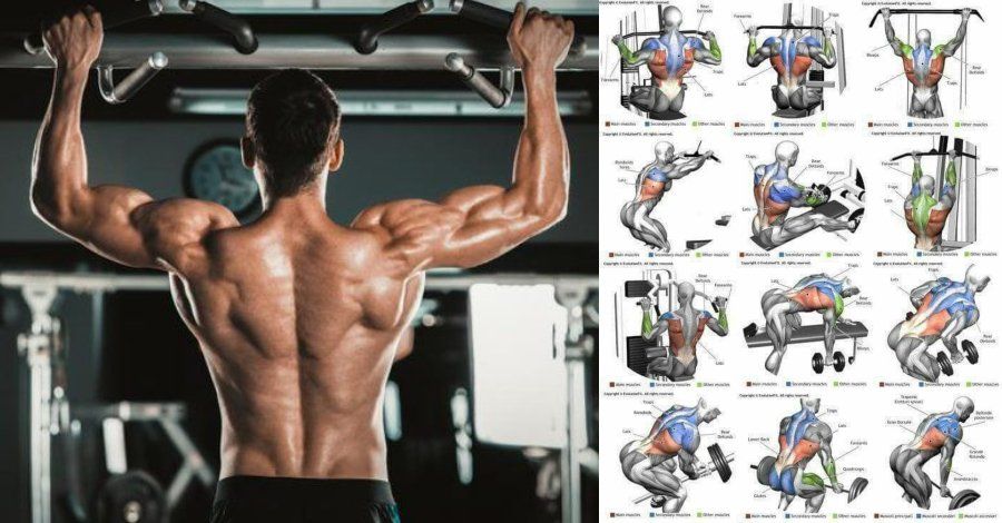 The Best Five Moves To Build A Stronger Broader Upper Back With Crazy