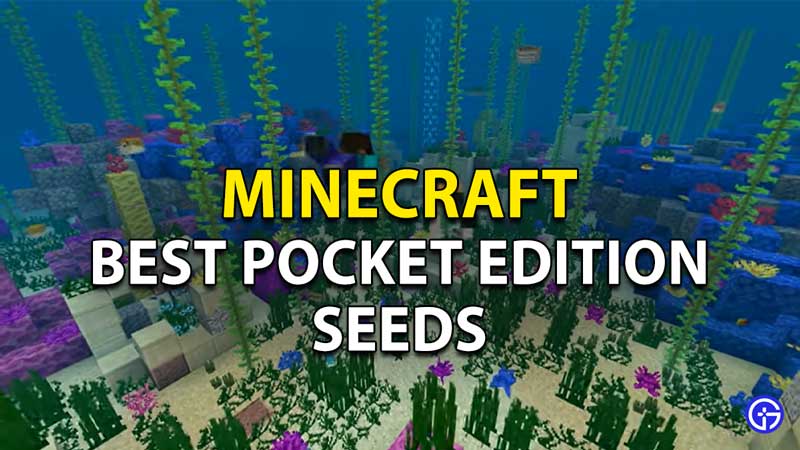 The Best Minecraft Pocket Edition Seeds