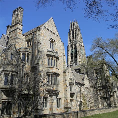 The Best Things To Do In Yale Updated 2019 With Photos Tripadvisor