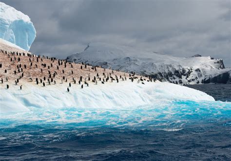 The Best Time To Visit Antarctica Weather Season Guide