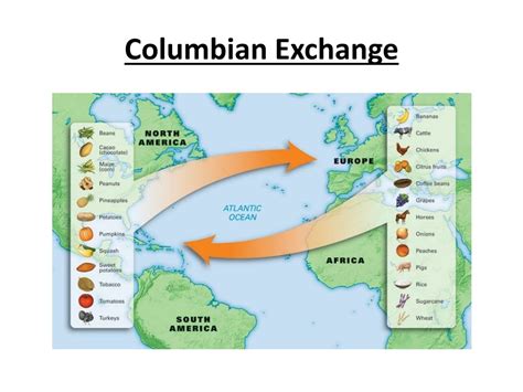 The Columbian Exchange Overview