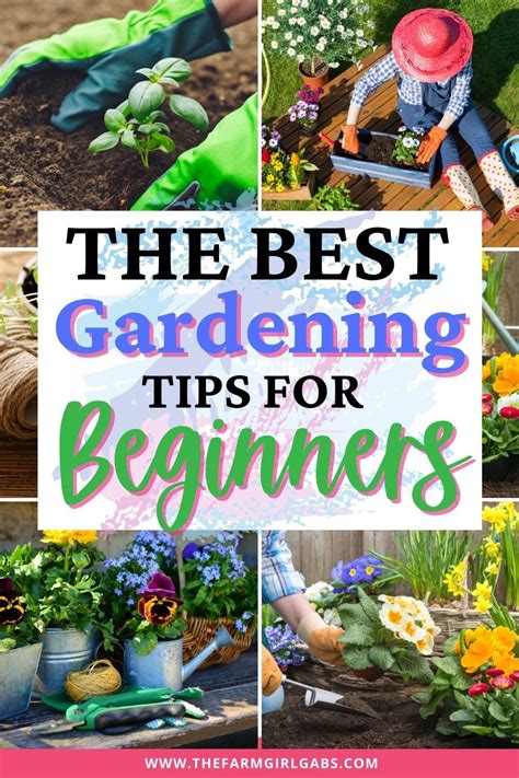 The Gardening Game Plan For Beginners Opt In In 2021 Gardening Tips