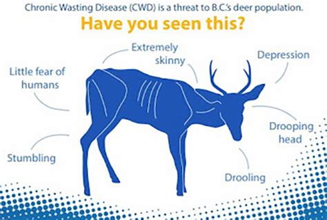 The Growing Threat Of Chronic Wasting Disease Columbia Valley