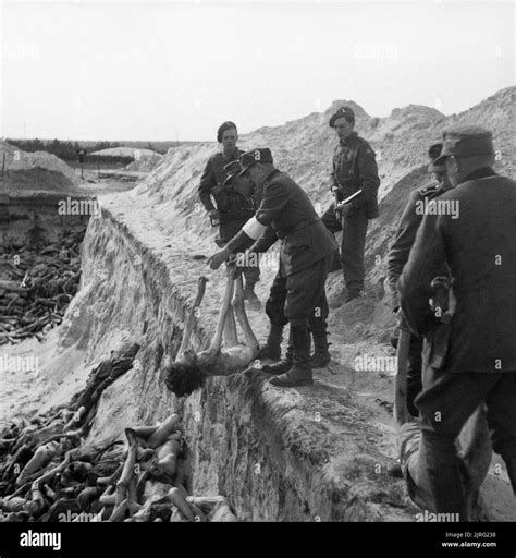 The Liberation Of Bergen Belsen Concentration Camp April 1945