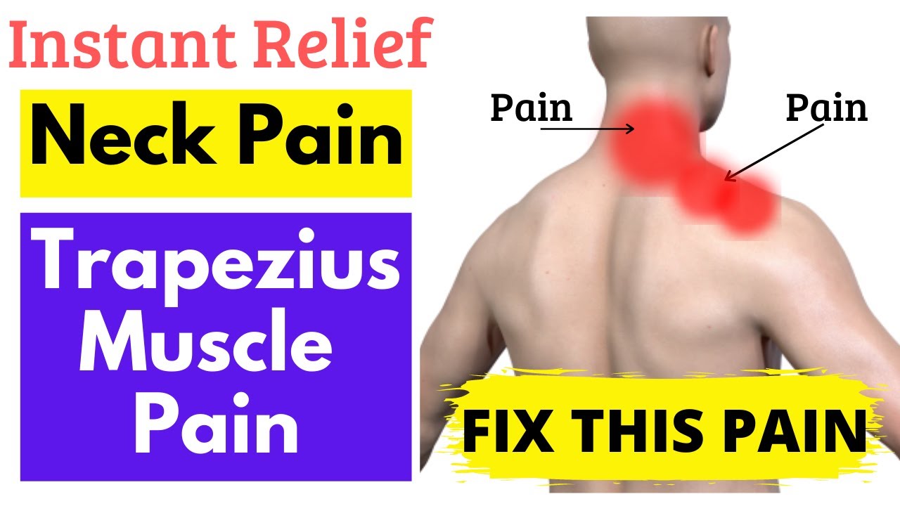 The Neck And Shoulder Pain Muscle How To Release It For Instant Relief