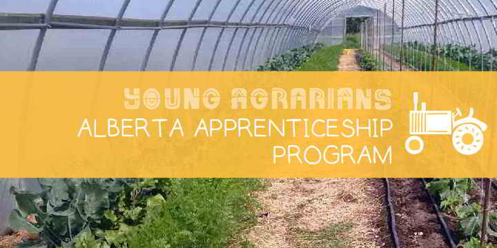 The North East Alberta Apprenticeship Initiative Bonnyville Lac La