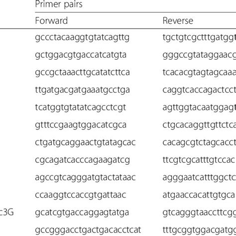 The Qpcr Primer Pairs For Detecting Isg Genes Download Scientific Diagram