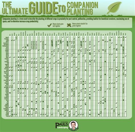 The Ultimate Companion Planting Guide Chart