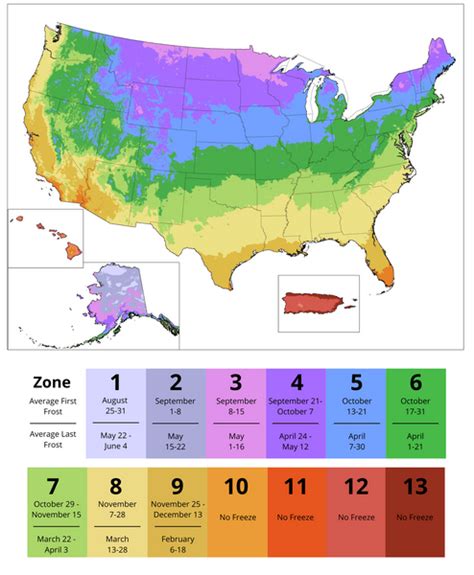 The Ultimate Guide To Plant Hardiness Zones Artofit