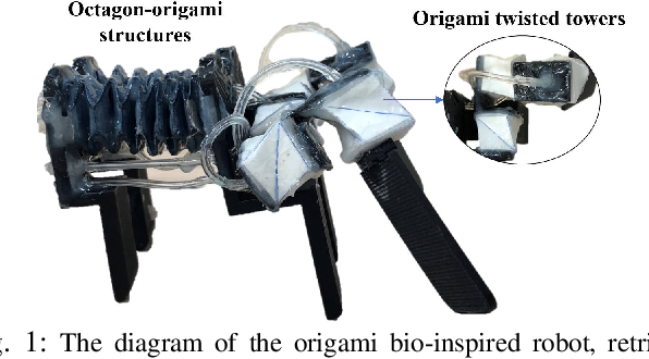 Theoretical Modeling And Bio Inspired Trajectory Optimization Of A