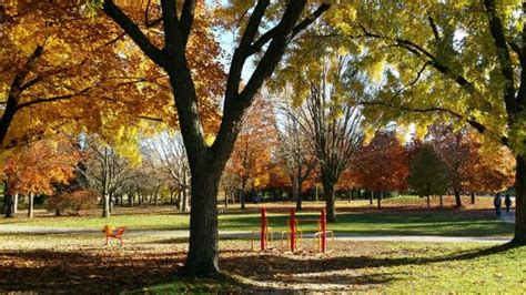 Thomson Memorial Park Toronto Thomson Memorial Park Yorumlar