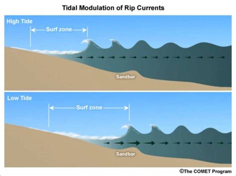 Tides Marine Science Andres Prado